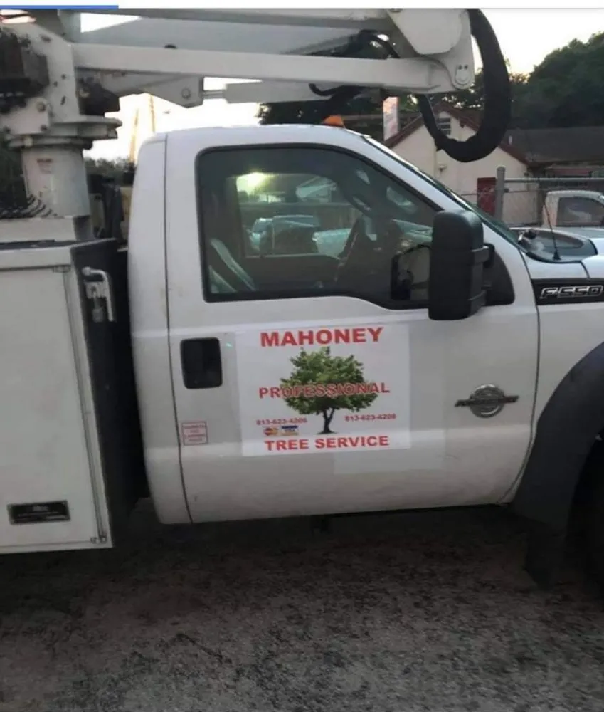 Local residential landscaping for homes across Tampa, FL - Big Kountry Tree Service