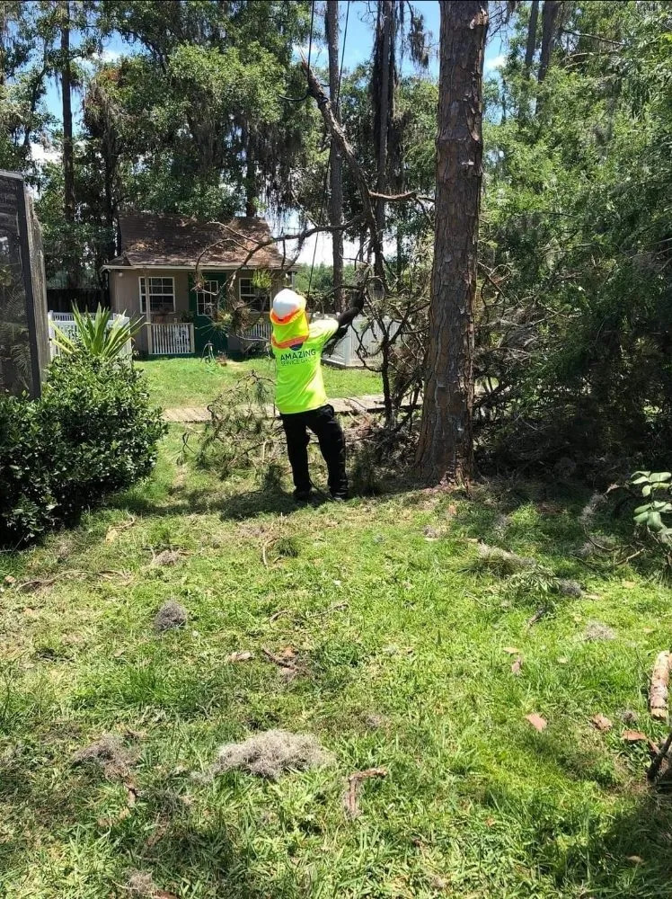Local yard cleanup service for residential properties in Tampa, FL by Big Kountry Tree Service