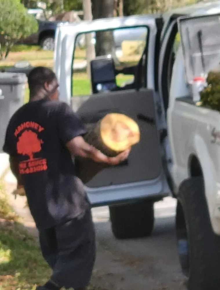 Trusted garden landscaping experts serving Tampa, FL - Big Kountry Tree Service