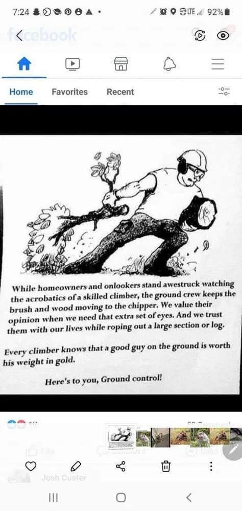 Local yard maintenance in Tampa, FL - Big Kountry Tree Service