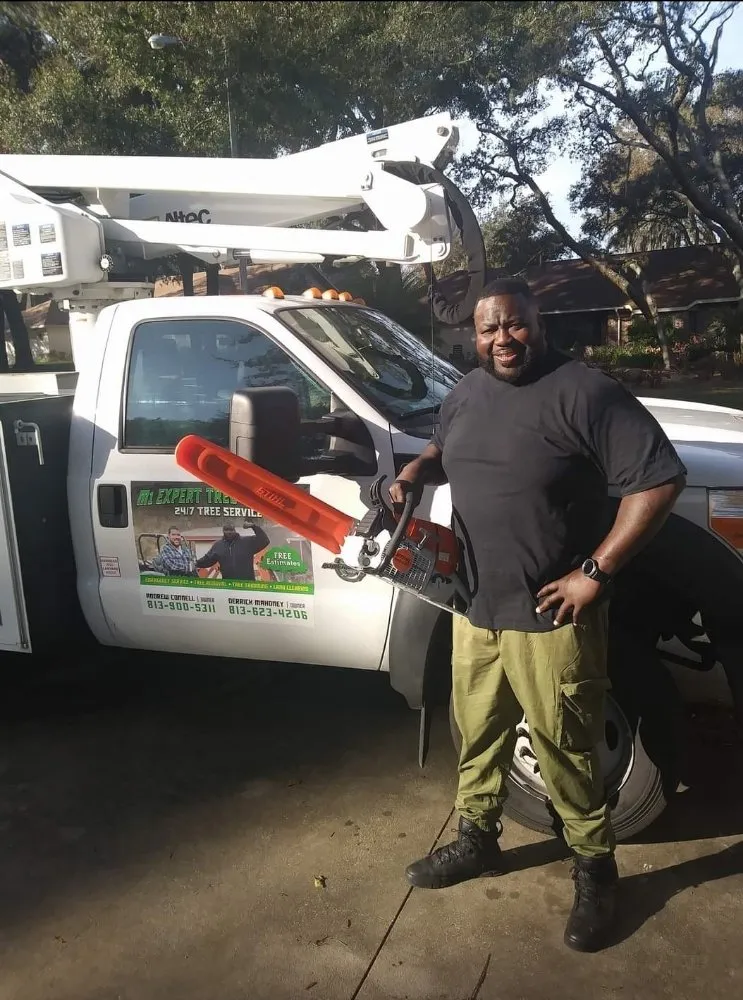 Top-rated lawn care service for residential properties across Tampa, FL - Big Kountry Tree Service