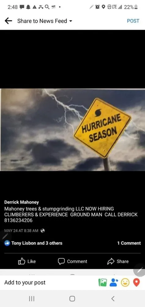 Local yard cleanup service experts serving Tampa, FL - Big Kountry Tree Service