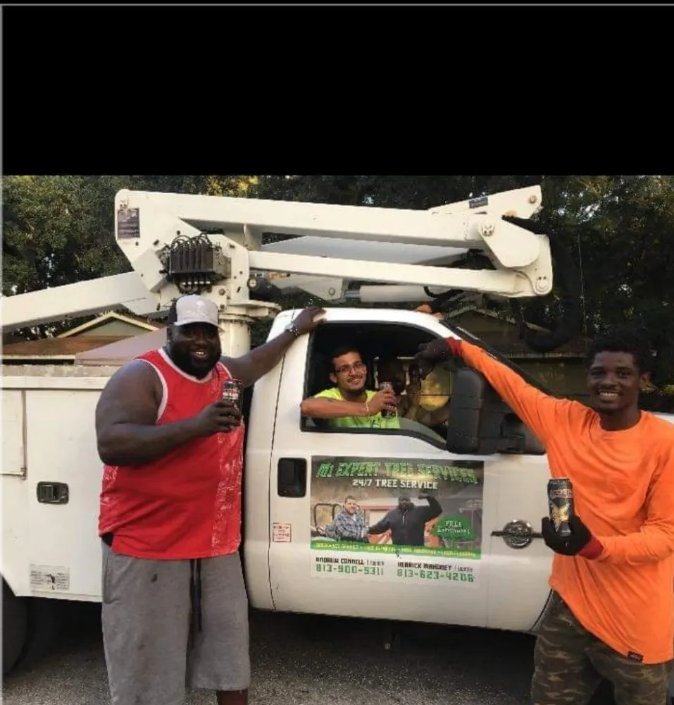 Local yard maintenance in Tampa, FL - Big Kountry Tree Service