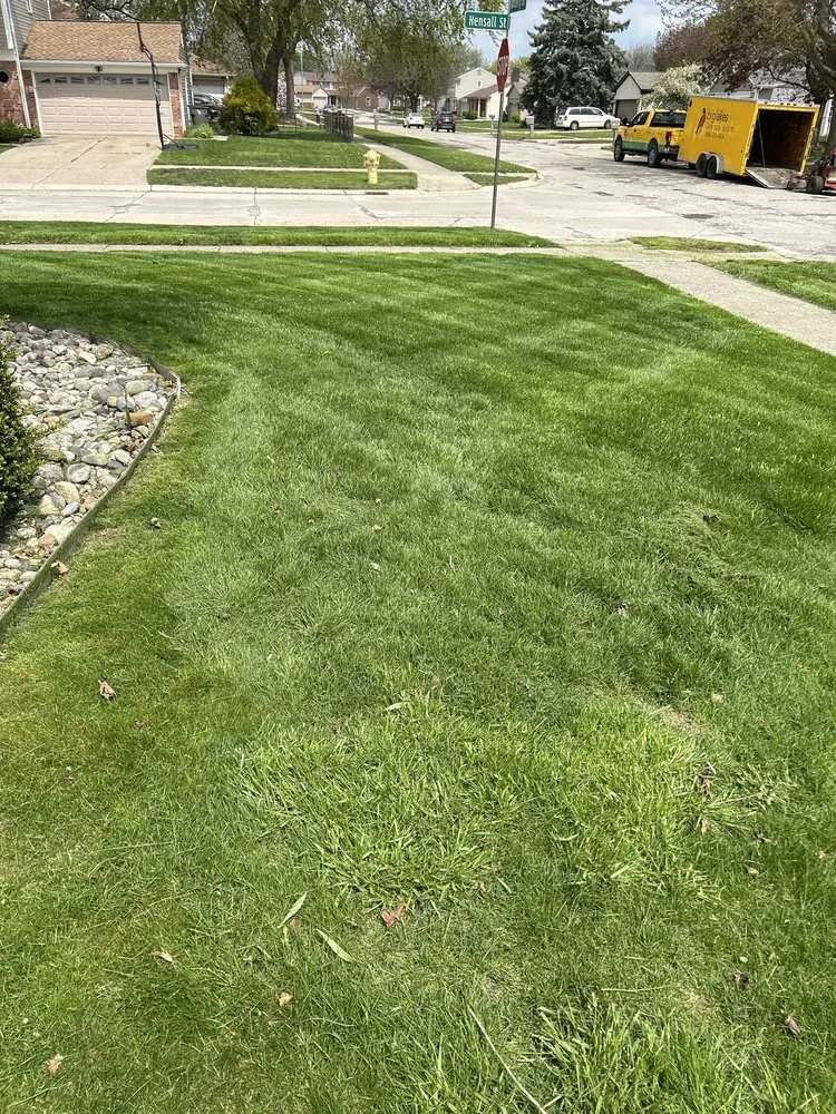 Top-rated yard cleanup service in Macomb, MI - Big Lakes Lawn Care