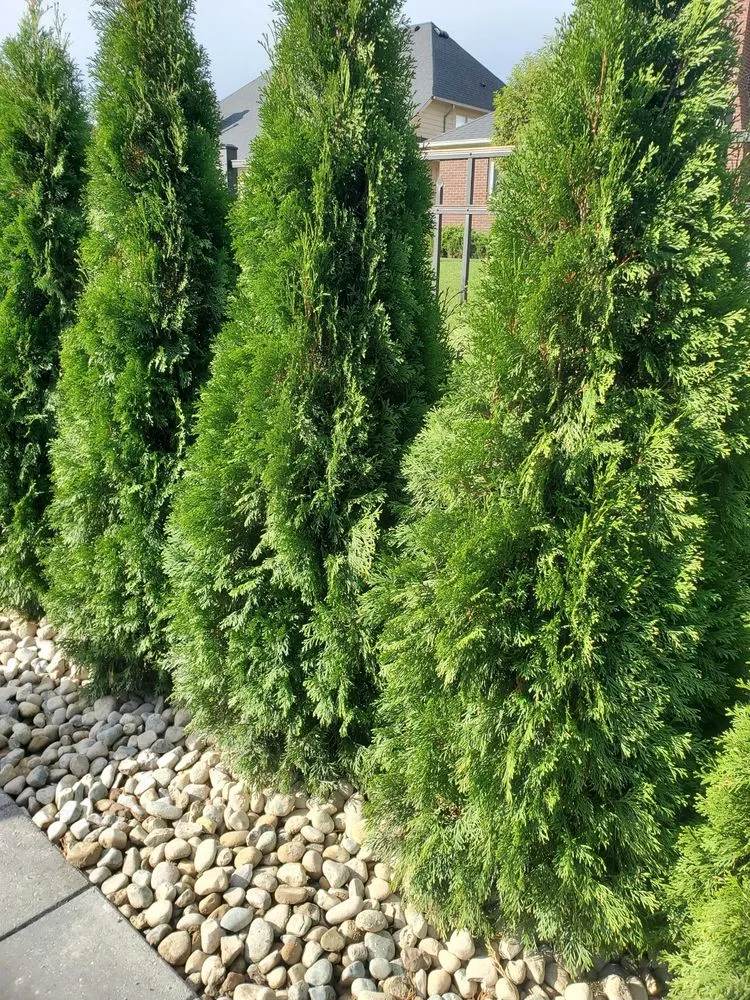 Custom outdoor landscaping in Macomb, MI - Big Lakes Lawn Care