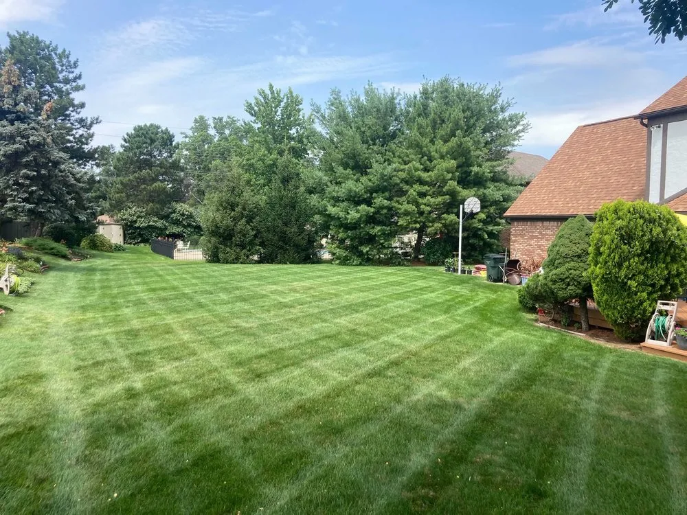 Affordable landscape installation in Macomb, MI by Big Lakes Lawn Care