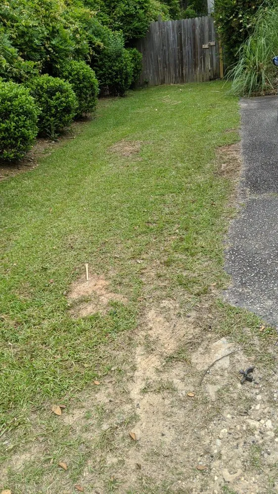Affordable yard maintenance for residential properties in West Columbia, SC by BiG Lawn Service