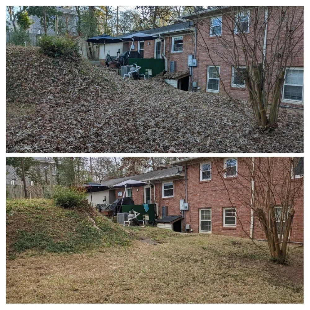 Top-rated landscape design for beautiful yards in West Columbia, SC by BiG Lawn Service