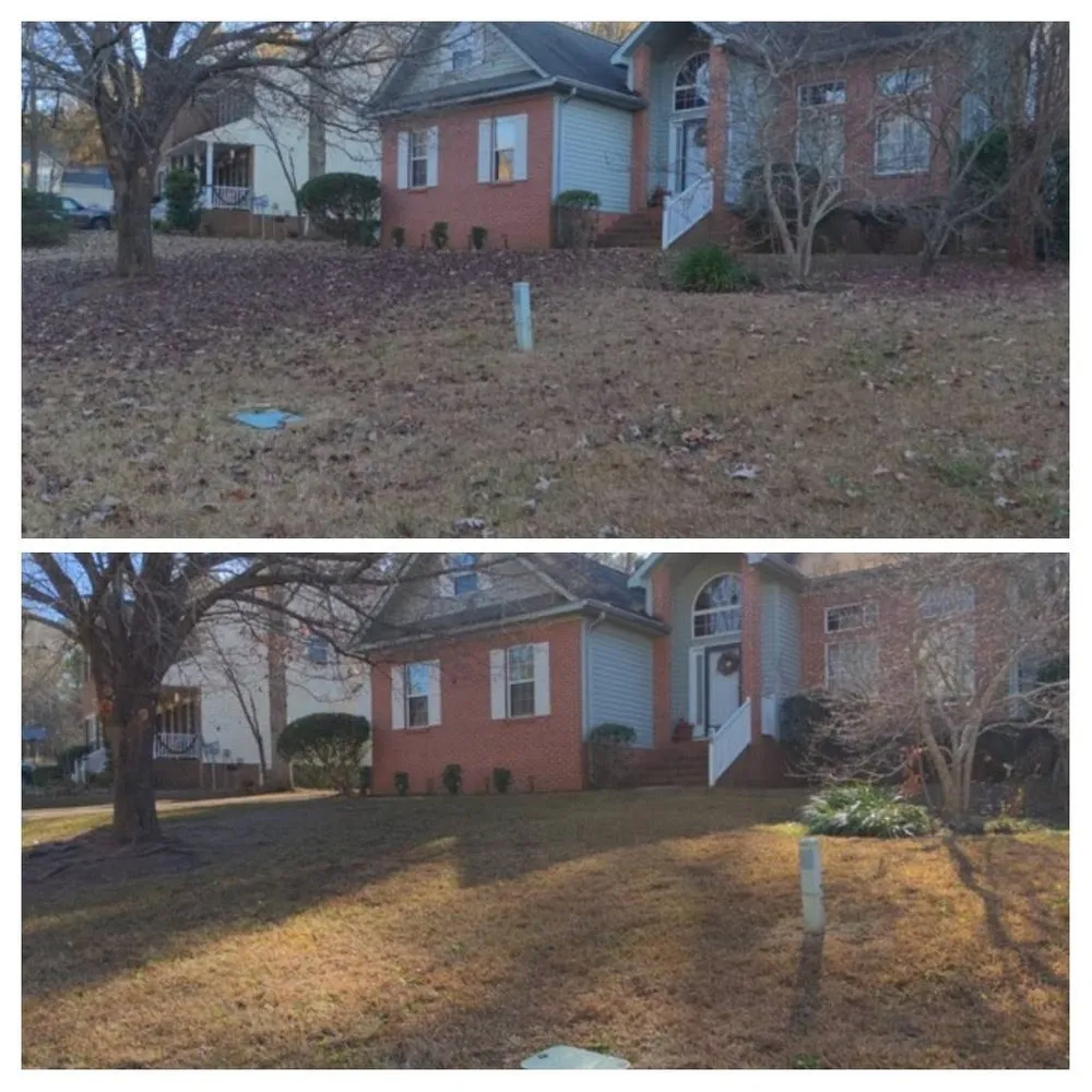 Professional yard cleanup service for beautiful yards in West Columbia, SC by BiG Lawn Service