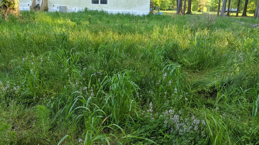 Trusted landscape installation in West Columbia, SC by BiG Lawn Service