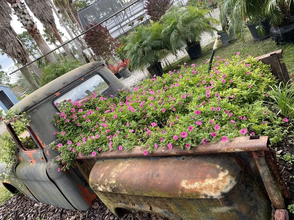 Reliable landscaping services with custom design in Ormond Beach, FL by Big League Garden Center