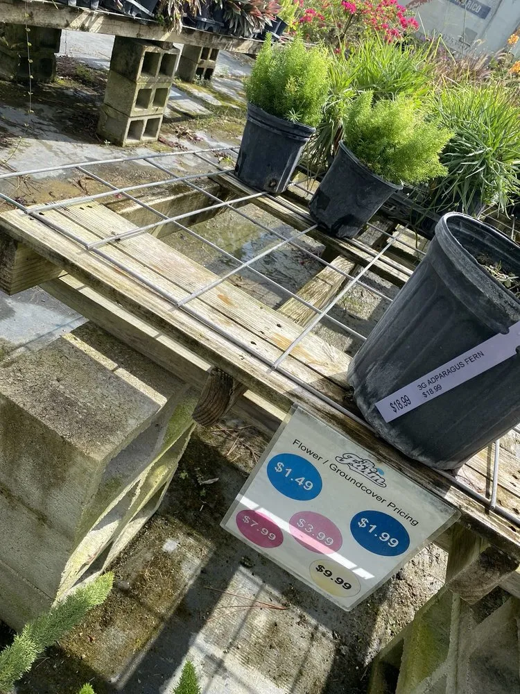 Professional landscape installation experts serving Ormond Beach, FL - Big League Garden Center