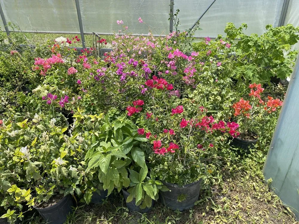 Expert residential landscaping in Ormond Beach, FL - Big League Garden Center