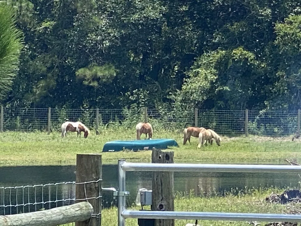 Affordable garden landscaping in Ormond Beach, FL by Big League Garden Center