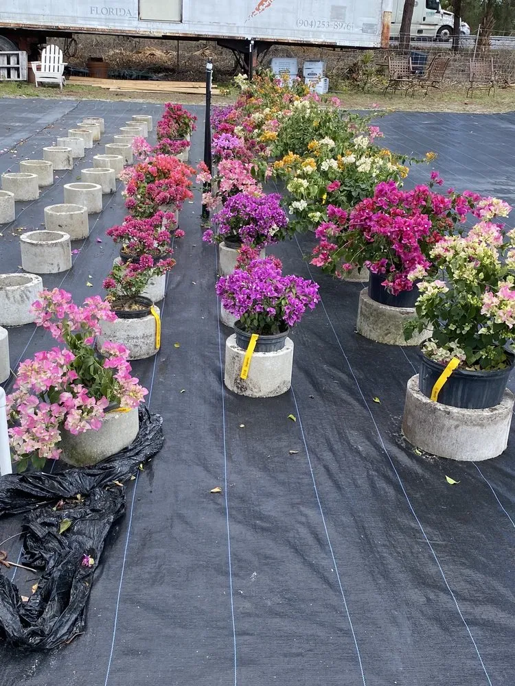 Reliable garden landscaping experts serving Ormond Beach, FL - Big League Garden Center