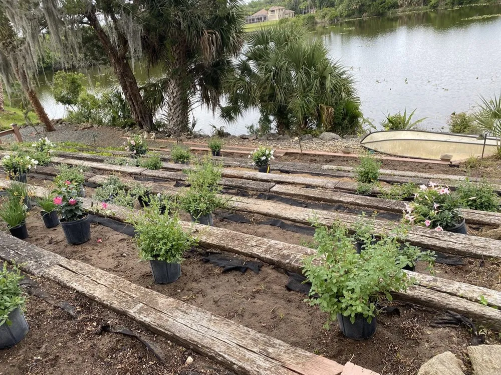 Local landscaping services with custom design in Ormond Beach, FL by Big League Garden Center