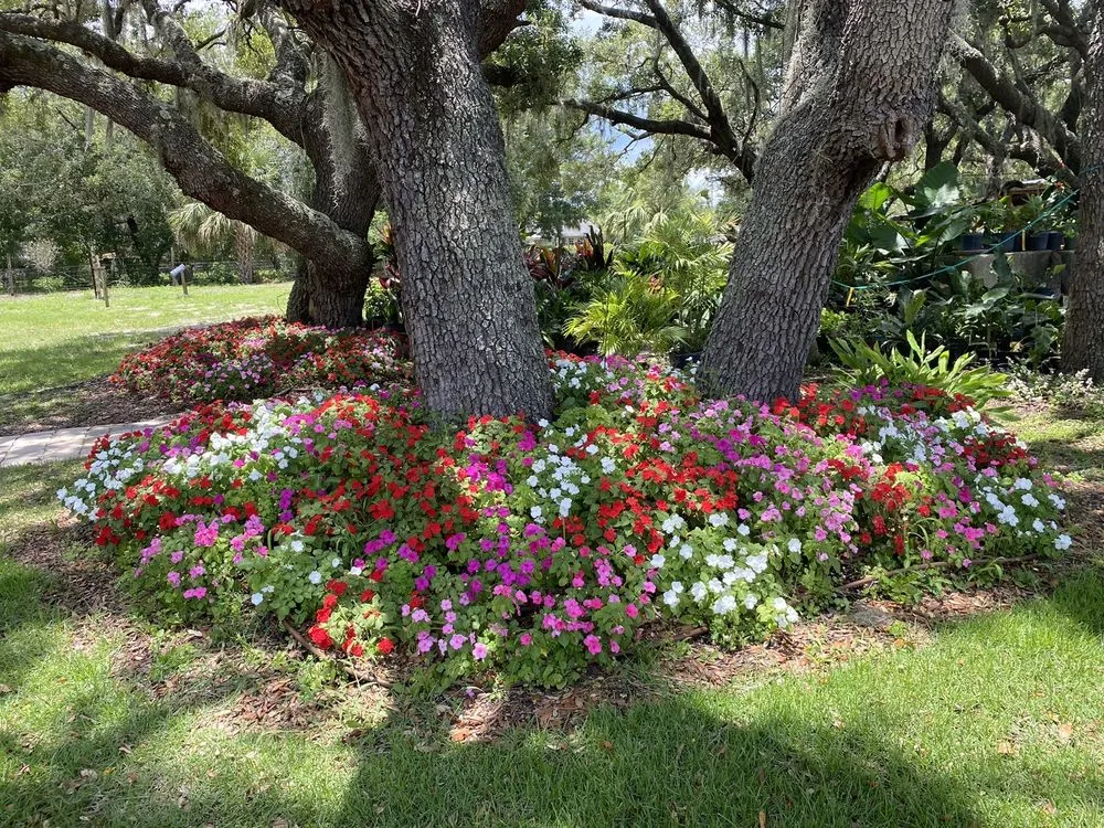 Local landscape design near you across Ormond Beach, FL - Big League Garden Center