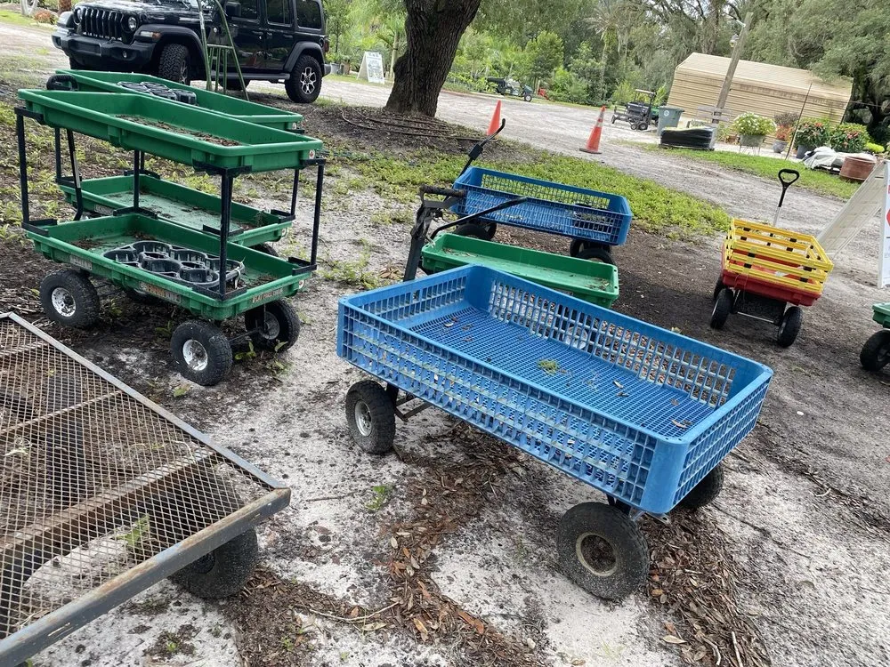 Affordable yard cleanup service in Ormond Beach, FL by Big League Garden Center