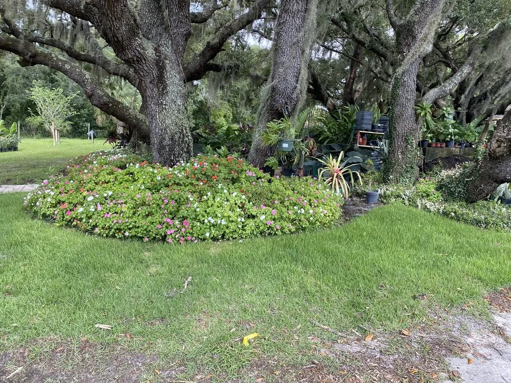 Top-rated yard cleanup service in Ormond Beach, FL - Big League Garden Center