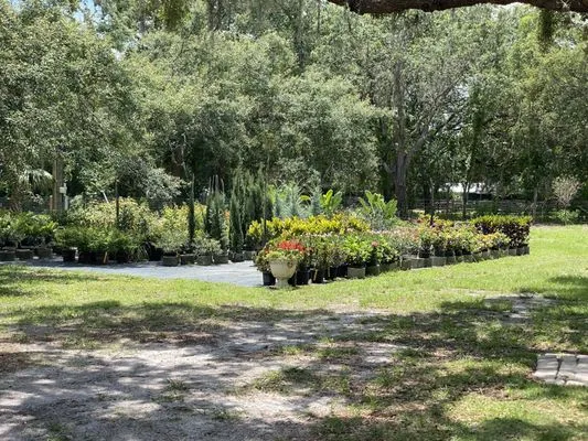 Big League Garden Center