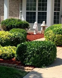 Top-rated yard maintenance for beautiful yards across Florissant, MO - Big League Landscaping