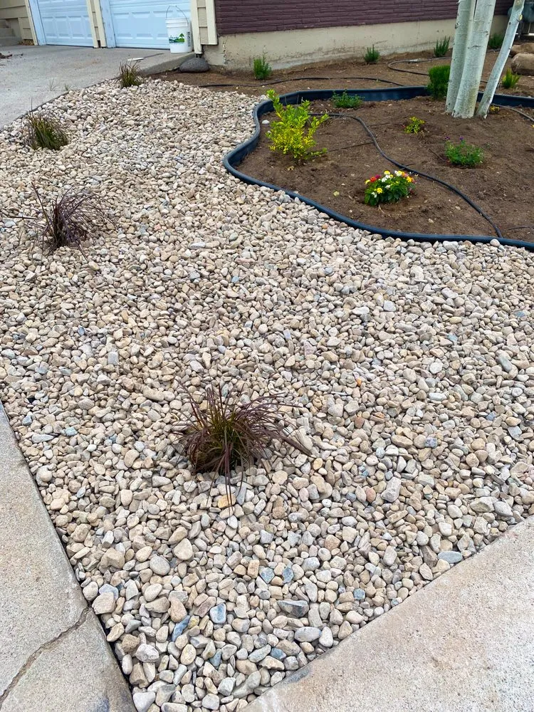 Local yard cleanup service in Reno, NV - Big League Landscaping