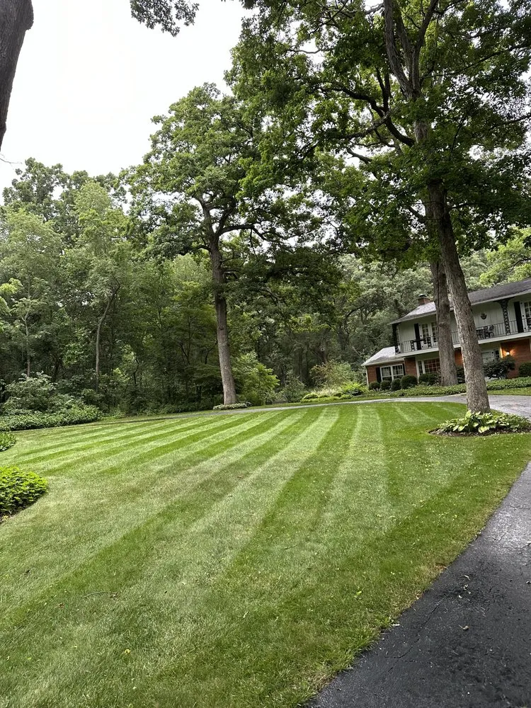 Professional landscaping services in St. Charles, IL - Big League Landscaping