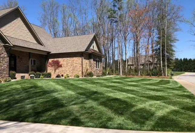 Local yard cleanup service in St. Charles, IL by Big League Landscaping