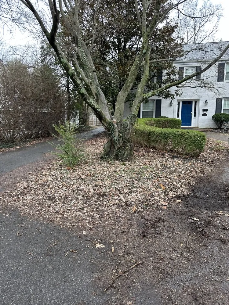 Custom landscape design for beautiful yards across La Grange, KY - Big League Lawns & Property Management