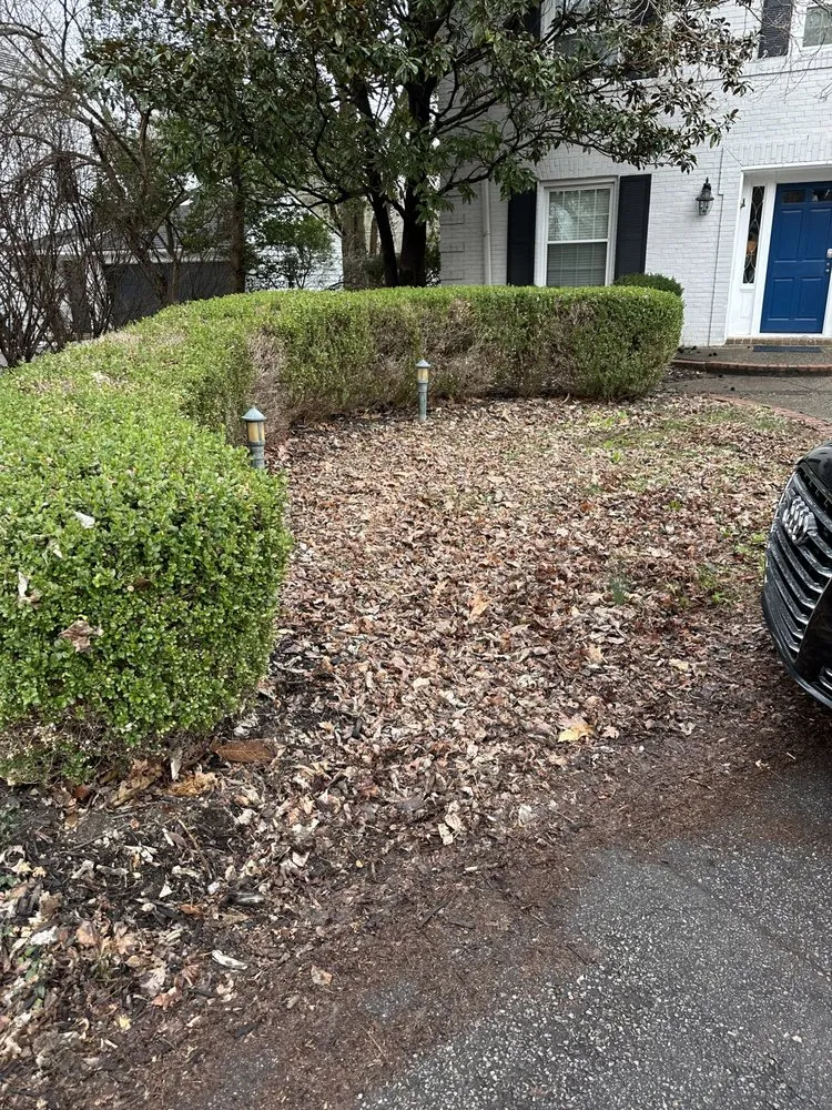 Affordable lawn care service experts serving La Grange, KY - Big League Lawns & Property Management