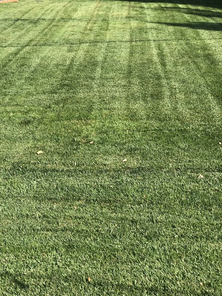 Trusted garden landscaping in Ogden, UT - Big League Lawns