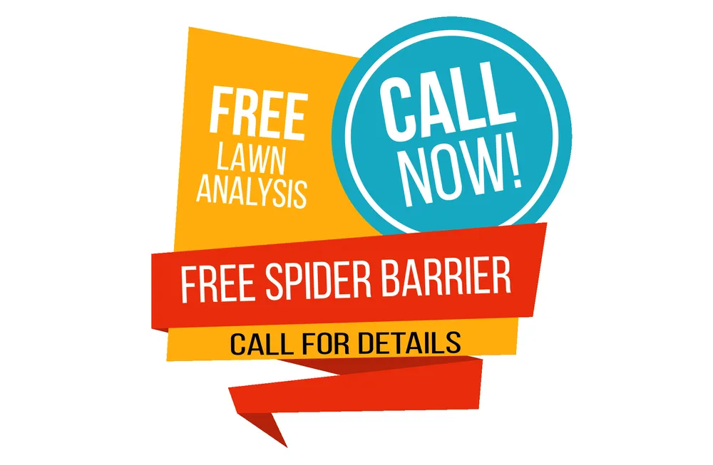 Top-rated yard maintenance with custom design across Ogden, UT - Big League Lawns