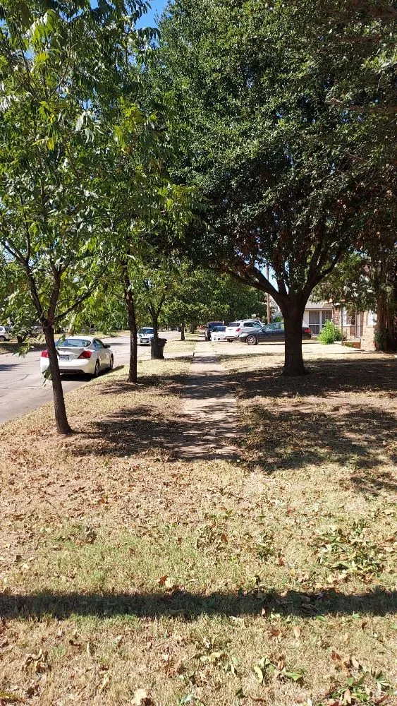 Reliable yard maintenance experts serving Wichita Falls, TX - Big Lems Lawns and Limbs