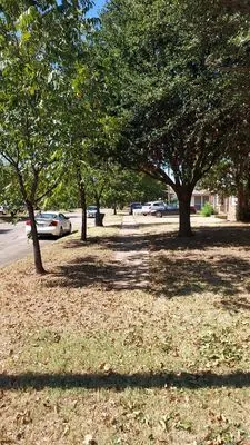 Big Lems Lawns and Limbs Logo