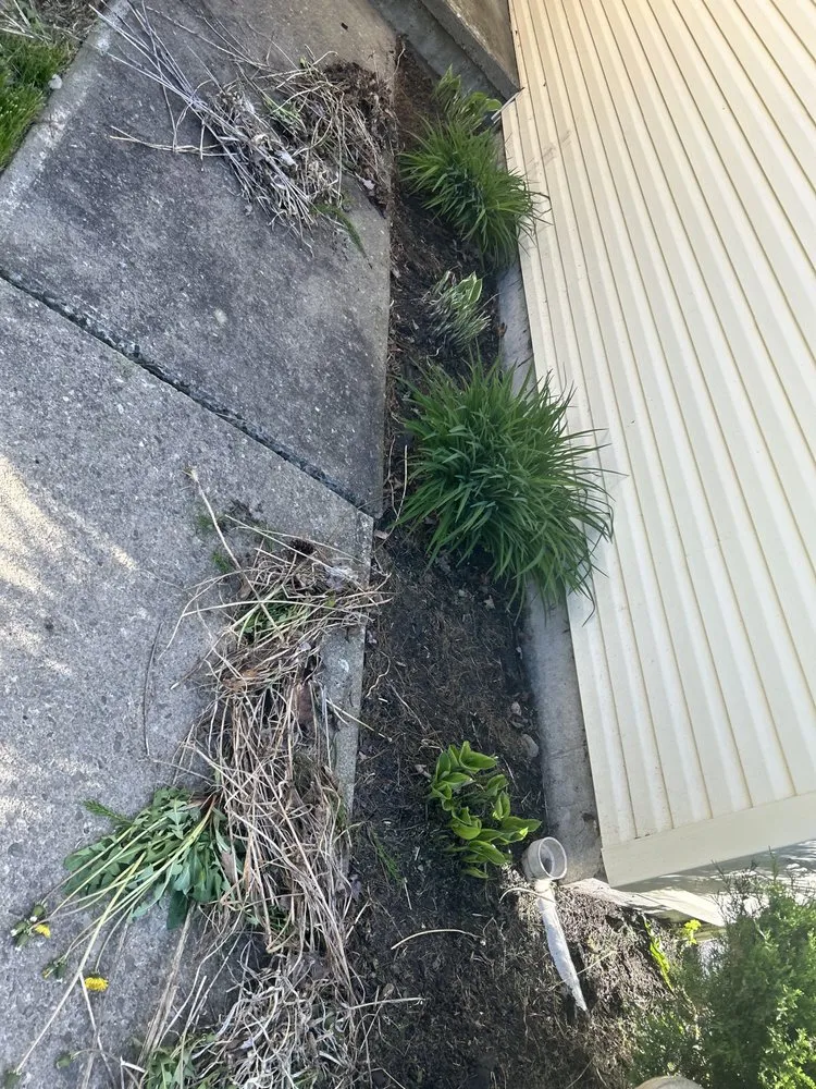 Affordable lawn mowing service in Corning, NY by Big L’s Landscaping & Odd Job