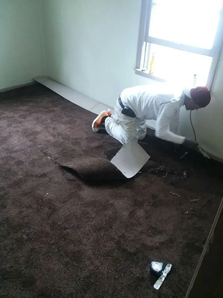 Expert landscape installation in Valdosta, GA by Big L's Lawncare Service