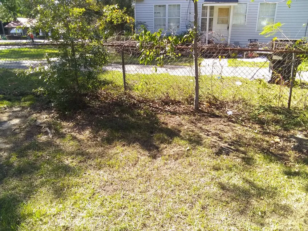 Affordable yard cleanup service in Valdosta, GA - Big L's Lawncare Service