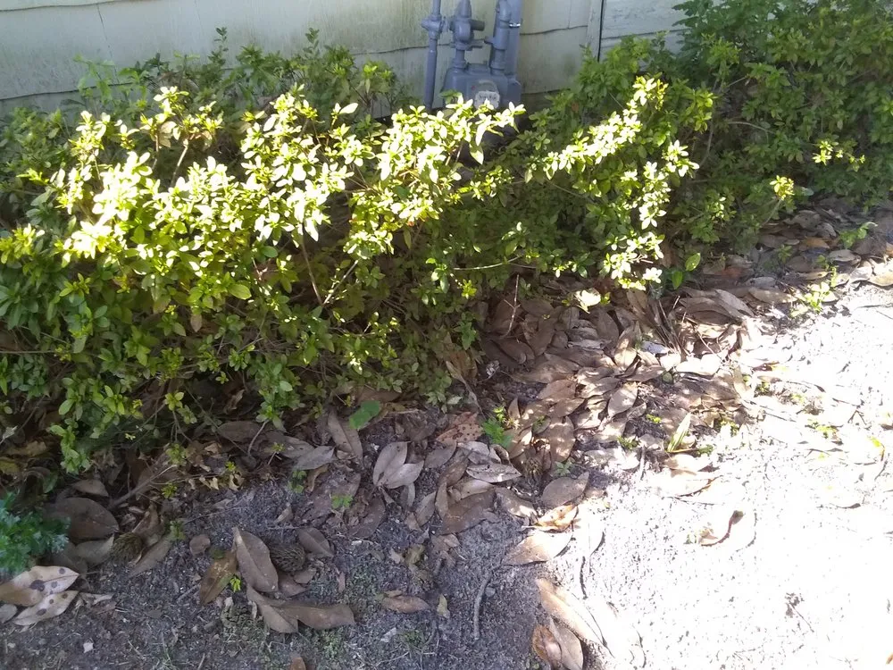 Top-rated yard maintenance in Valdosta, GA - Big L's Lawncare Service