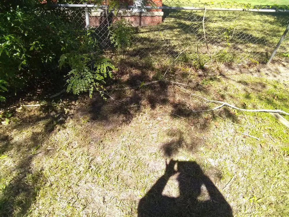 Custom lawn mowing service experts serving Valdosta, GA - Big L's Lawncare Service