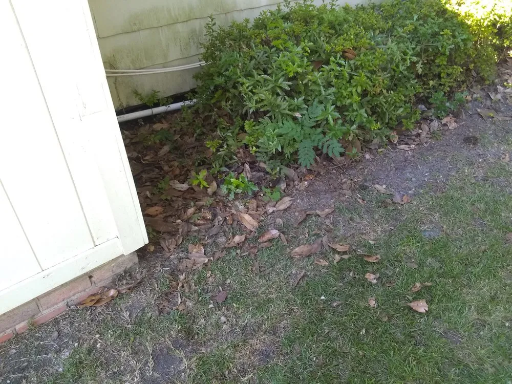 Expert landscaping services in Valdosta, GA - Big L's Lawncare Service