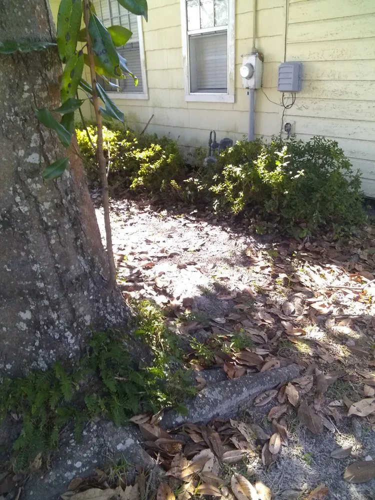 Trusted landscape installation near you across Valdosta, GA - Big L's Lawncare Service