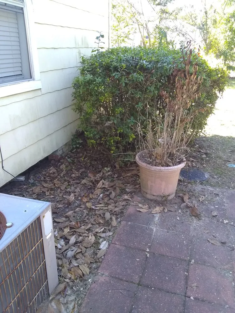 Professional outdoor landscaping experts serving Valdosta, GA - Big L's Lawncare Service