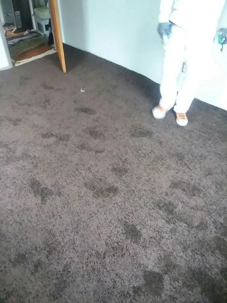 Reliable outdoor landscaping near you in Valdosta, GA by Big L's Lawncare Service