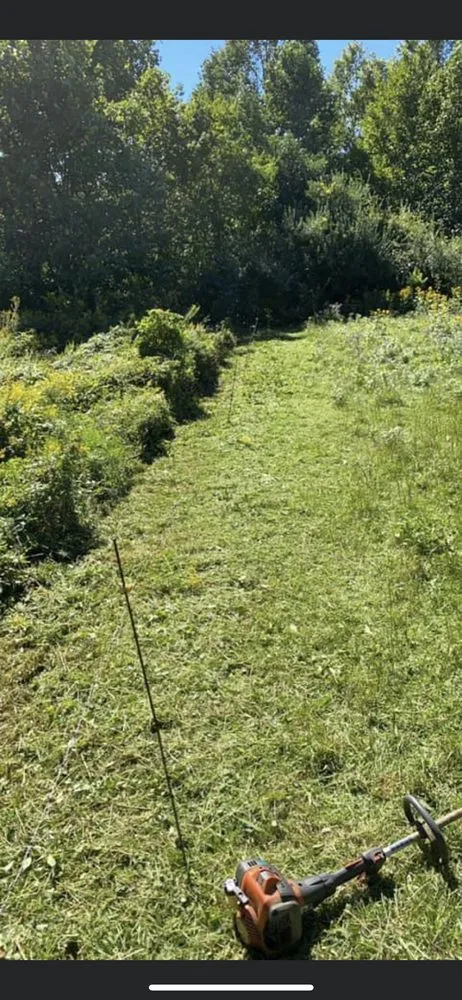 Affordable residential landscaping near you across Fall Branch, TN - Big M Lawn care