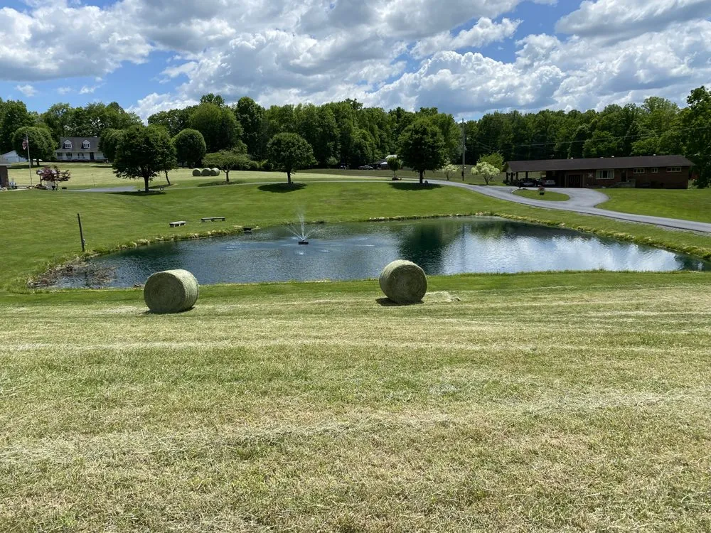 Reliable yard cleanup service in Fall Branch, TN by Big M Lawn care