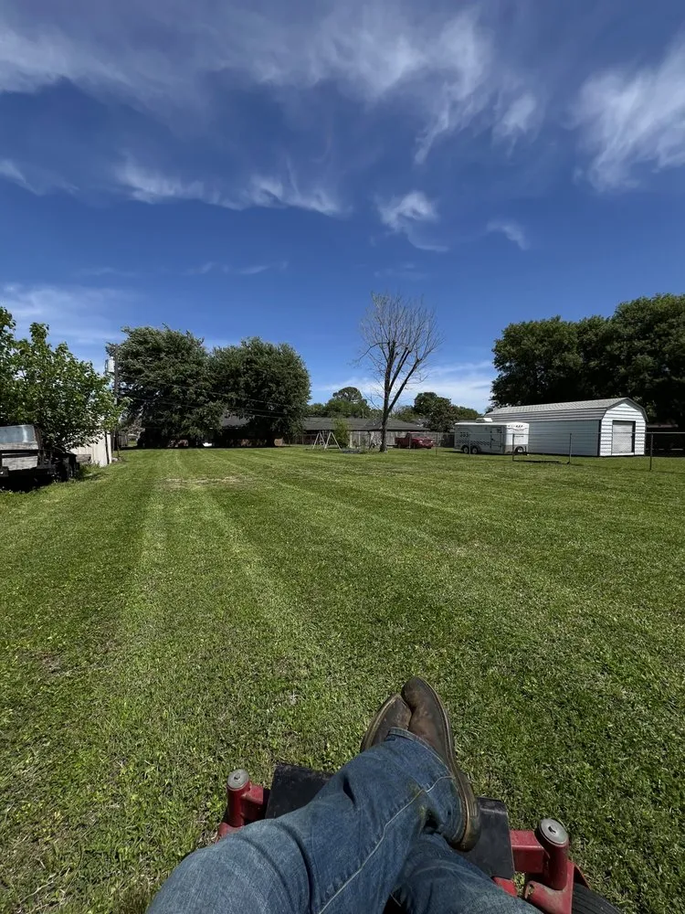 Top-rated landscape installation in Galena Park, TX by Big Man Lawn Service