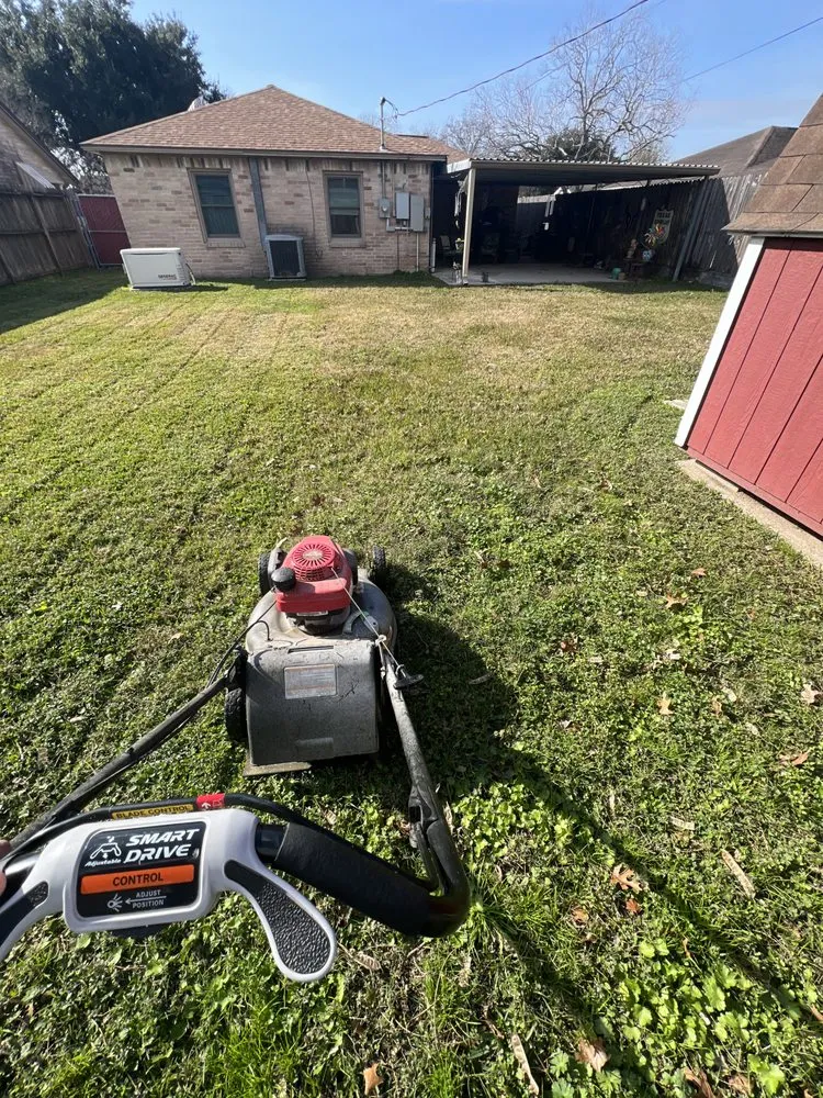 Affordable landscape design experts serving Galena Park, TX - Big Man Lawn Service