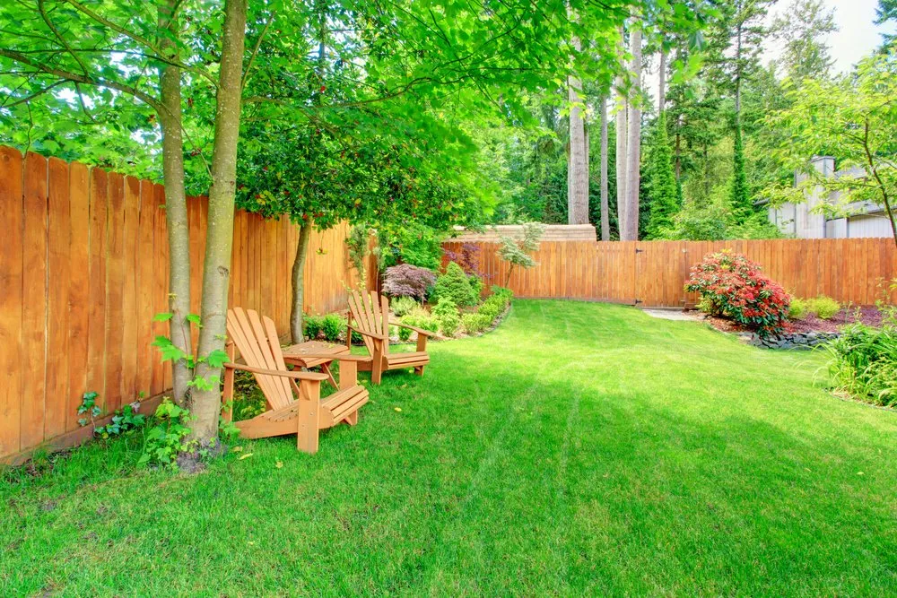 Professional residential landscaping in Shoreline, WA by Big Matt's Small Lawn Care