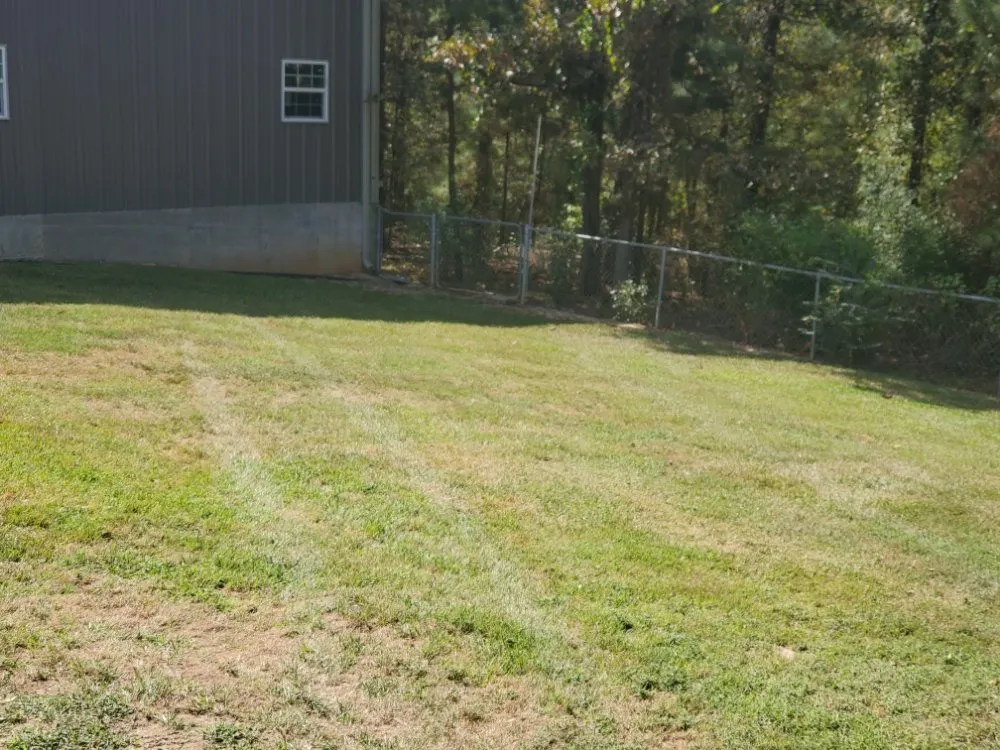 Expert lawn care service for outdoor upgrades across Longview, TX - Big Mike & Son's Lawn care