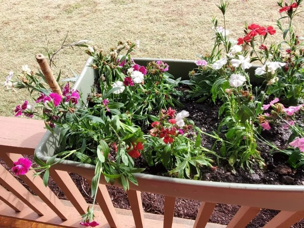 Reliable outdoor landscaping near you in Longview, TX by Big Mike & Son's Lawn care